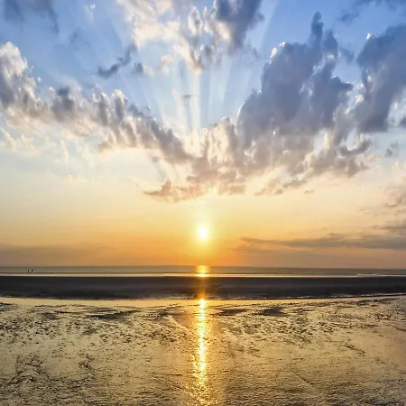 Vogelzug, Fuer 4 Persoen - Erwachsene Oder - In De Feerjenhusen Am Haubarg Von Vollerwiek, Fertigstellung April 2020 * Vollerwiek